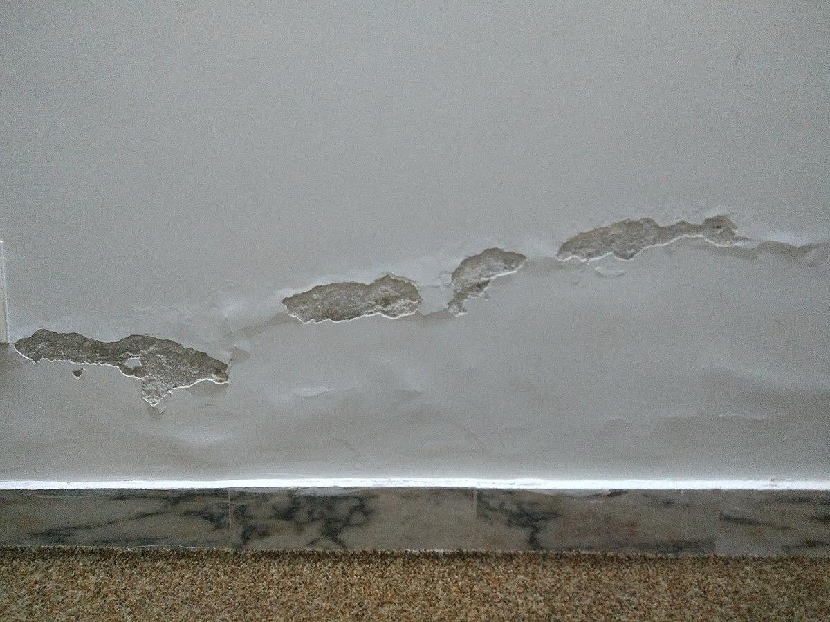 an example of damp on the wall of someone's home.