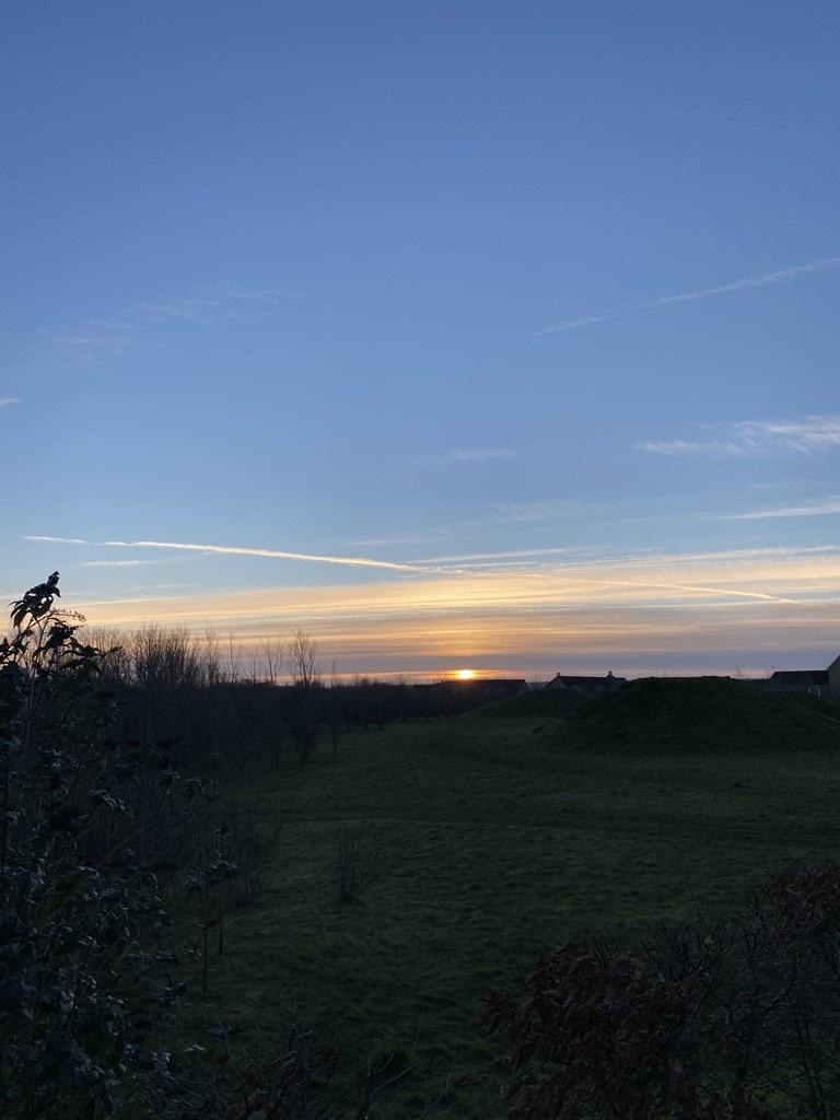 A silhoutted view of a sunrise in a park.