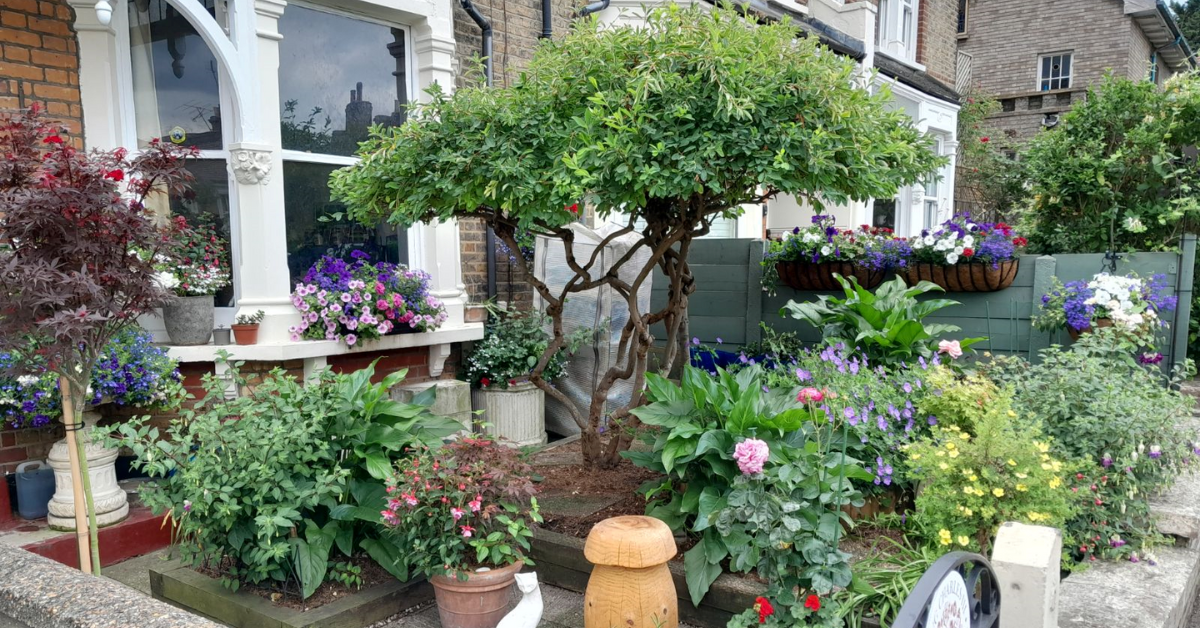 A blooming front garden.