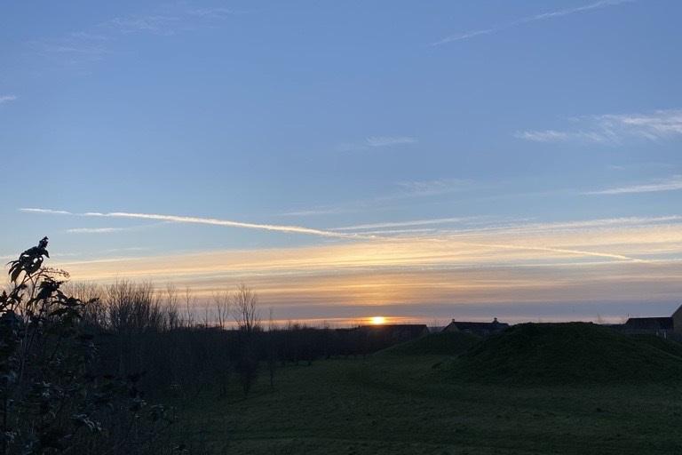 A silhoutted view of a sunrise in a park.