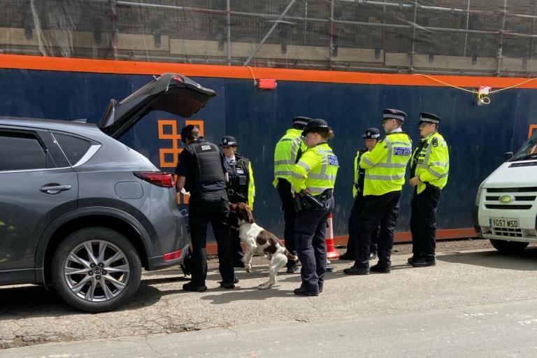 Police officers and a sniffer dog searching a car boot.