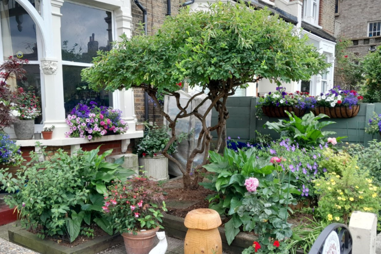 A blooming front garden.