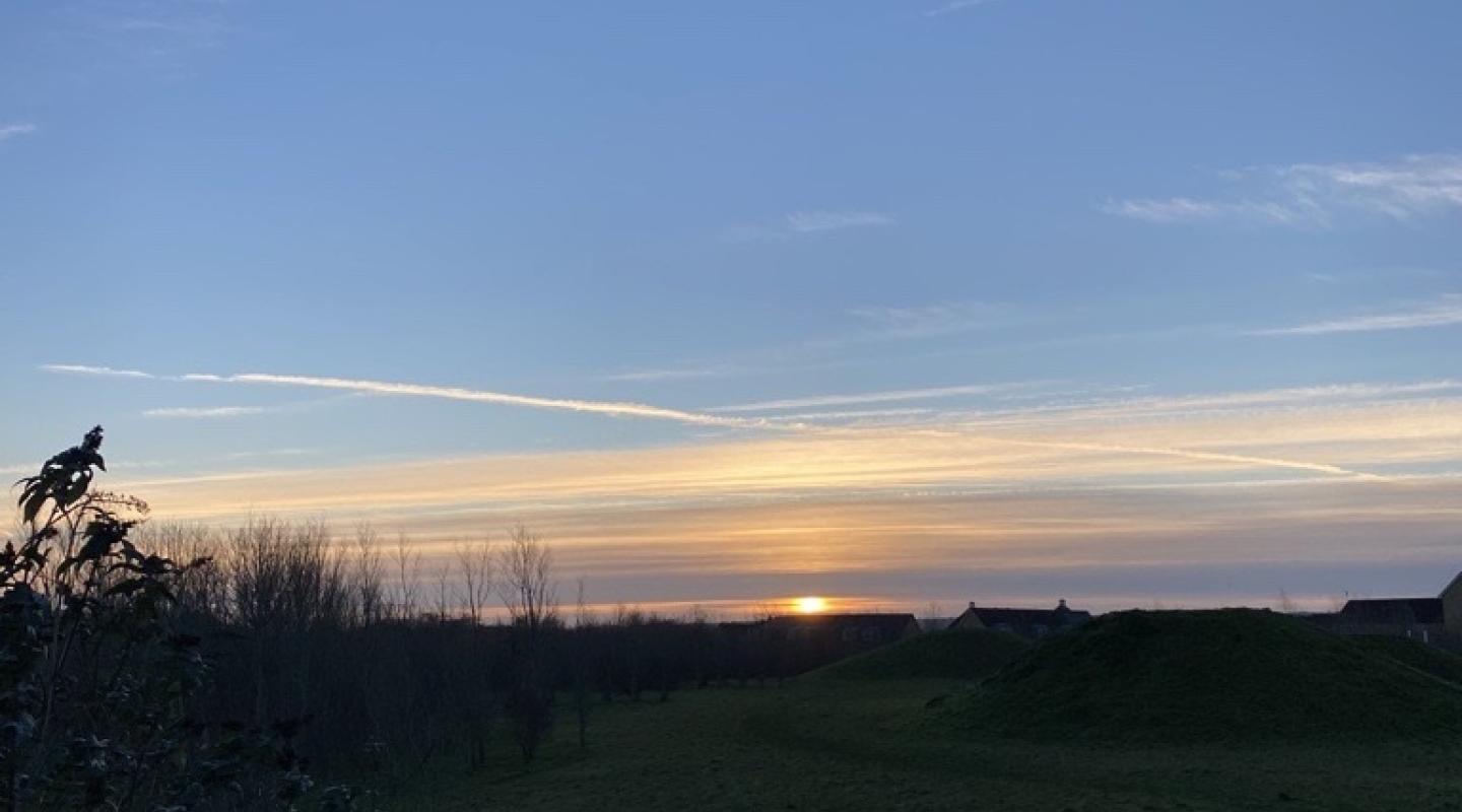 A silhoutted view of a sunrise in a park.